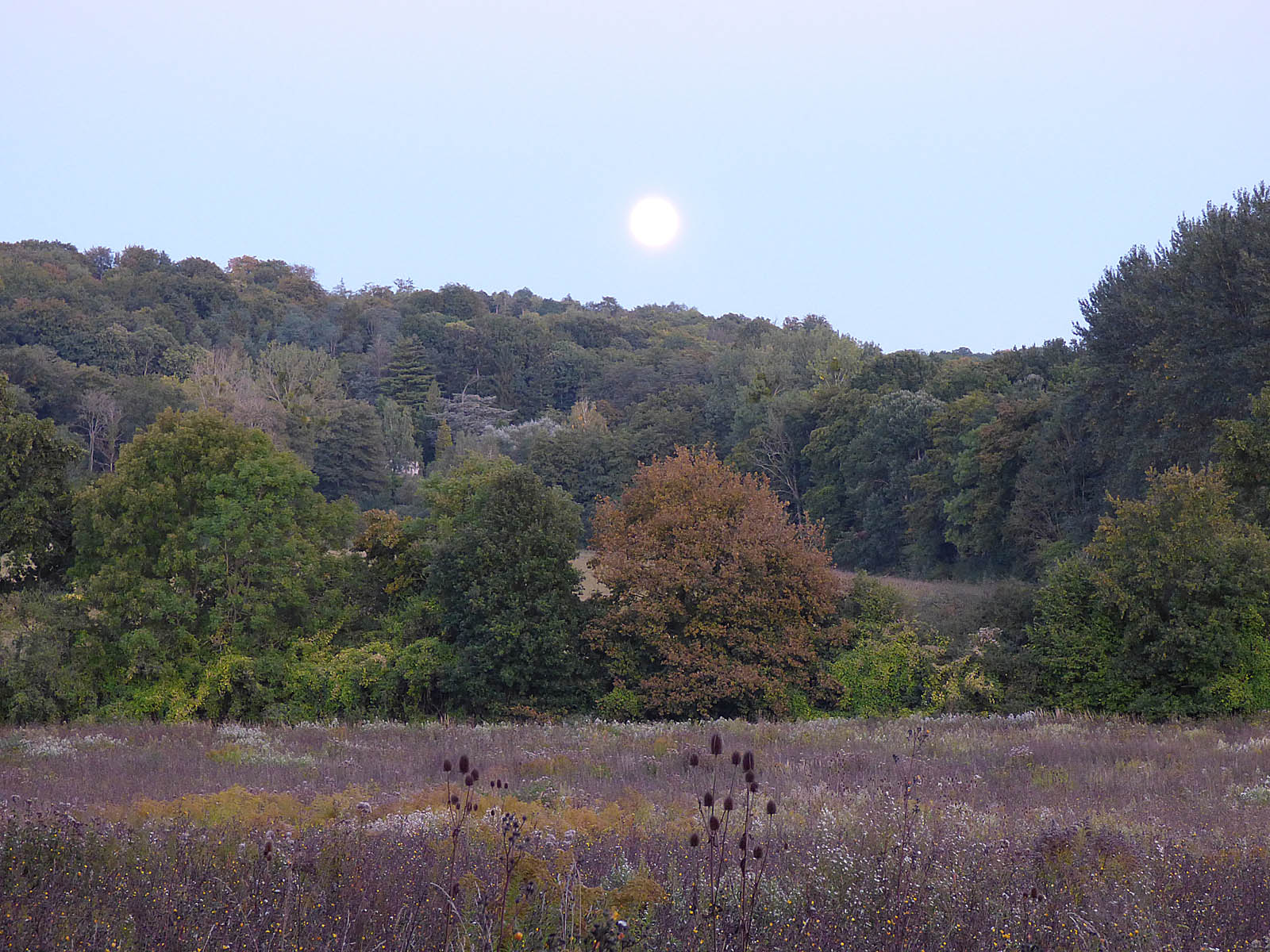 Paysages luzarchois